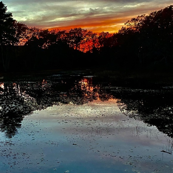 Canvases 8x10 $25 10x10 $40 any bigger $60 If you want anything’s pm me - Picture 4 of 16